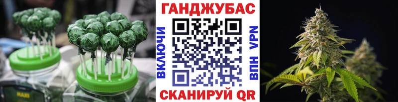 Купить где  Шали  Cannafood конопля 