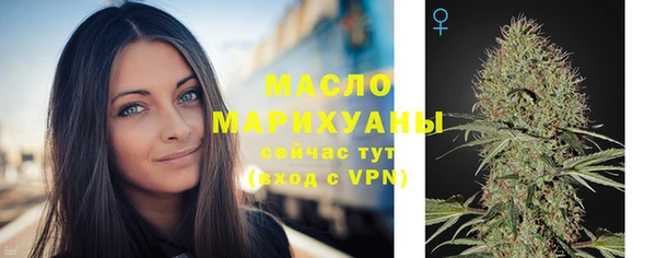 крисы Няндома