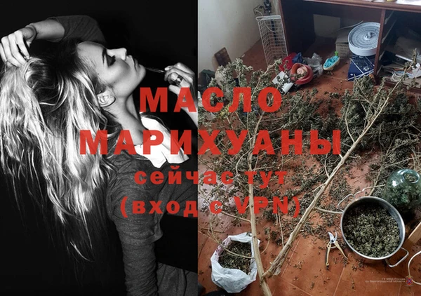 крисы Няндома