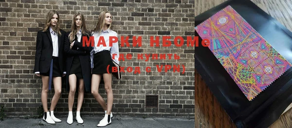 крисы Няндома