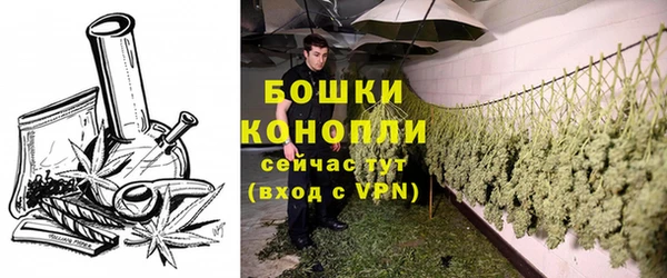 стаф Нягань