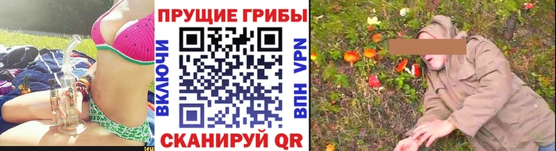 Галлюциногенные грибы MAGIC MUSHROOMS  Купить закладки  Шали 